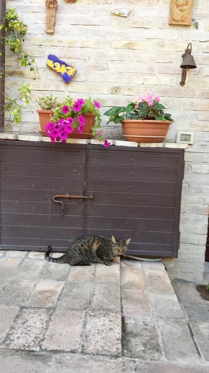 B&B La Casuccia Di Ασίζη Εξωτερικό φωτογραφία